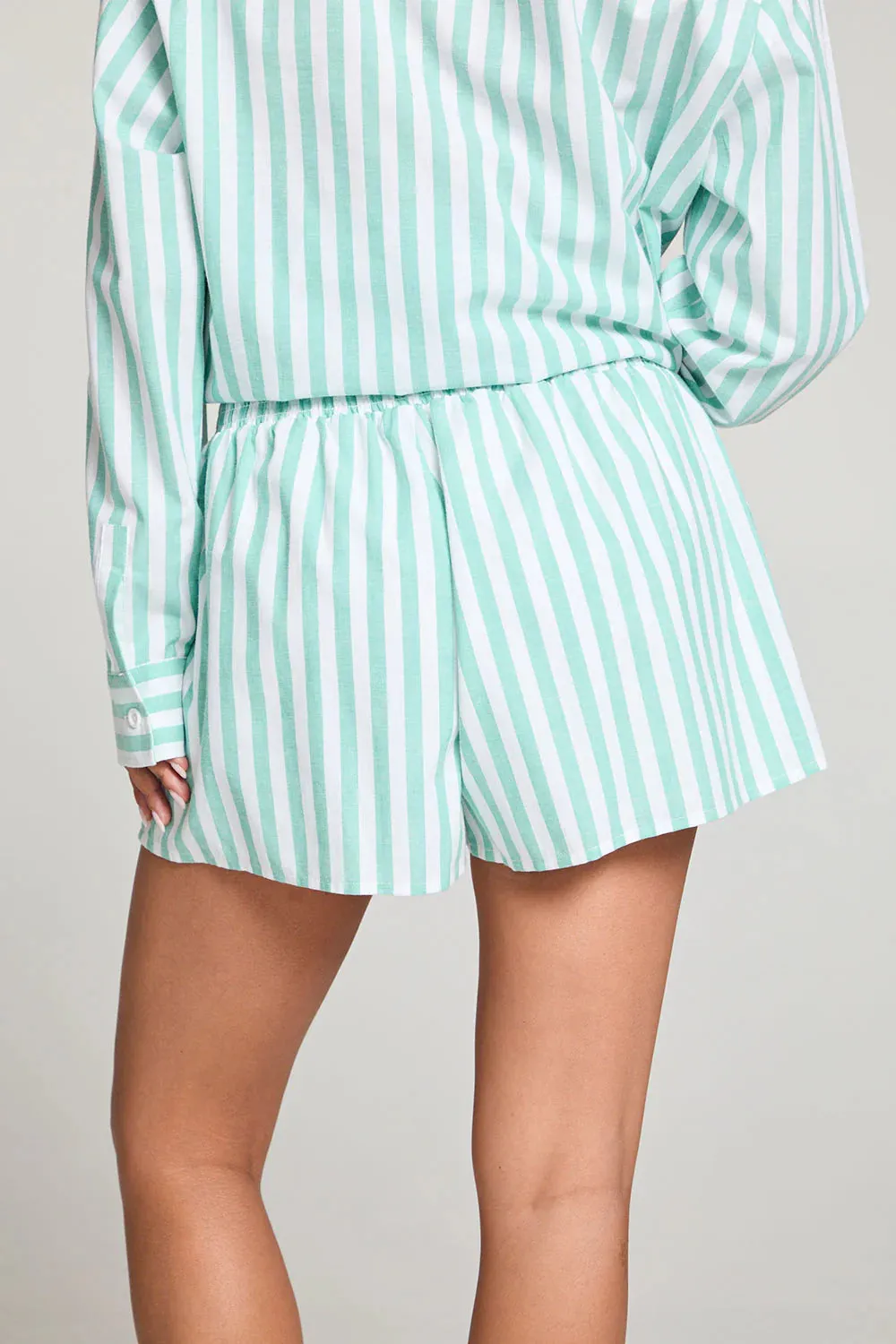 CHA Durango Aloe Stripe Shorts