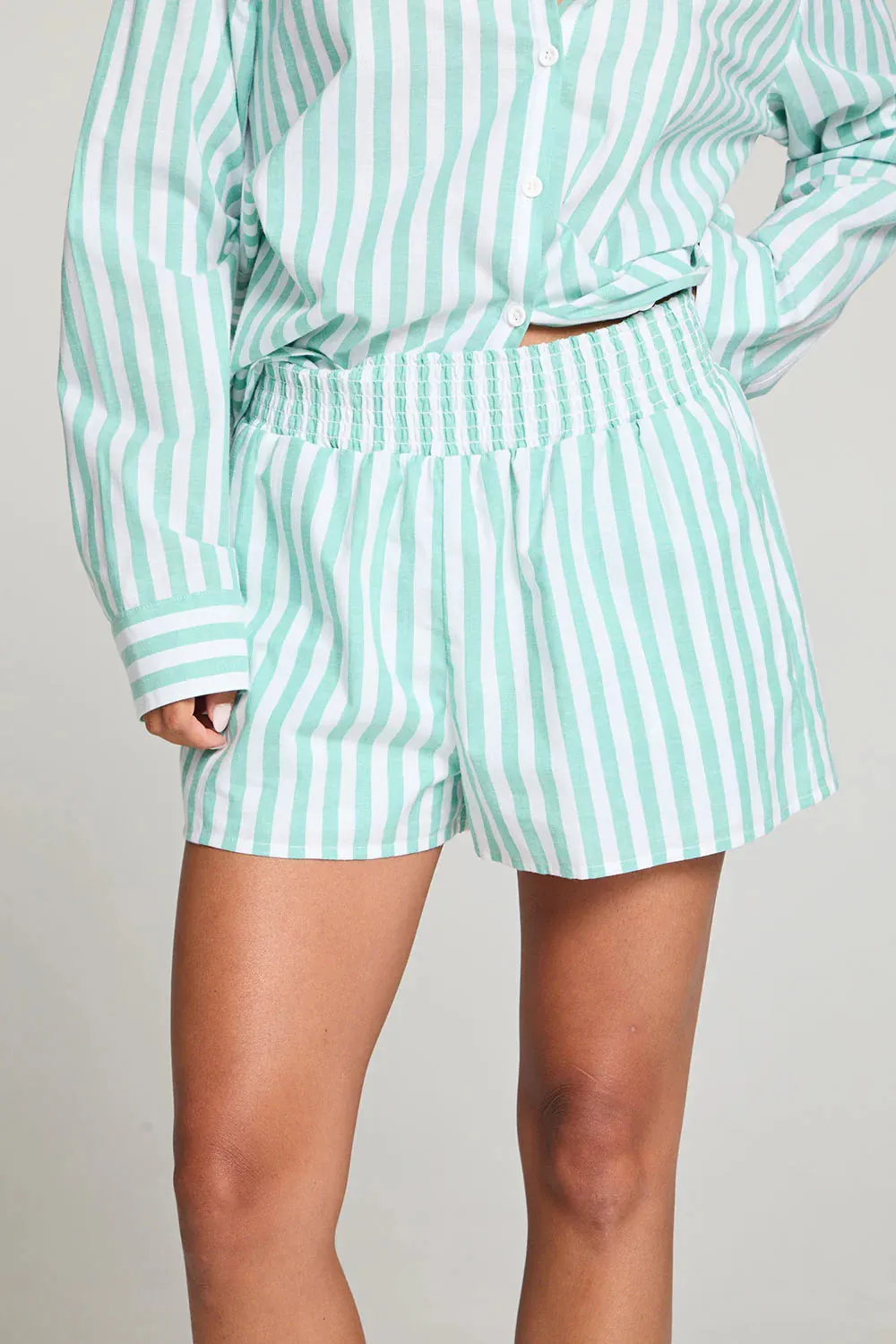 CHA Durango Aloe Stripe Shorts