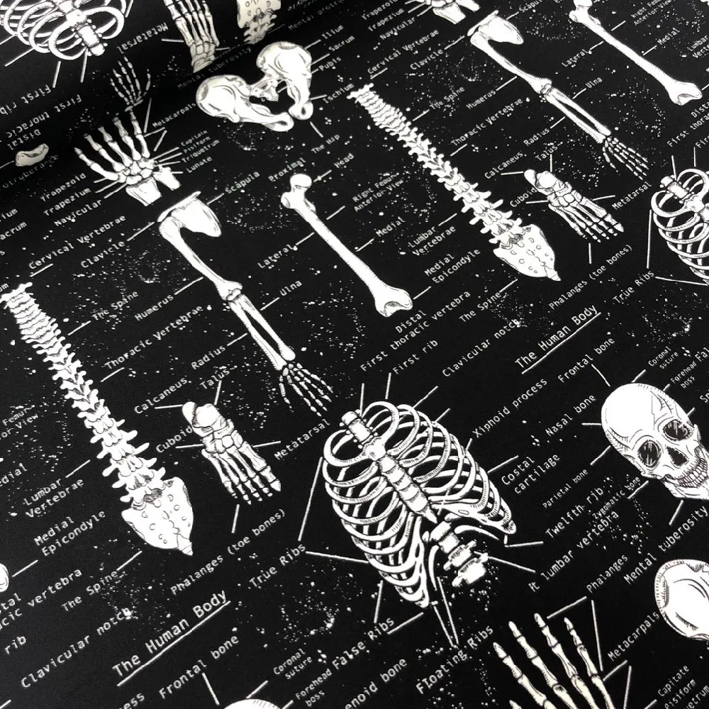 Glow In The Dark Skeletons