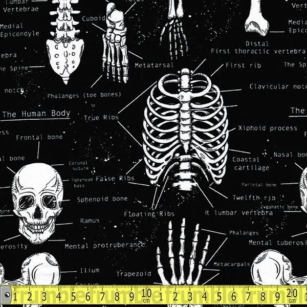 Glow In The Dark Skeletons