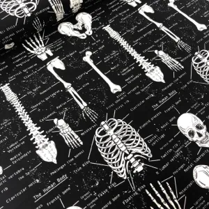 Glow In The Dark Skeletons