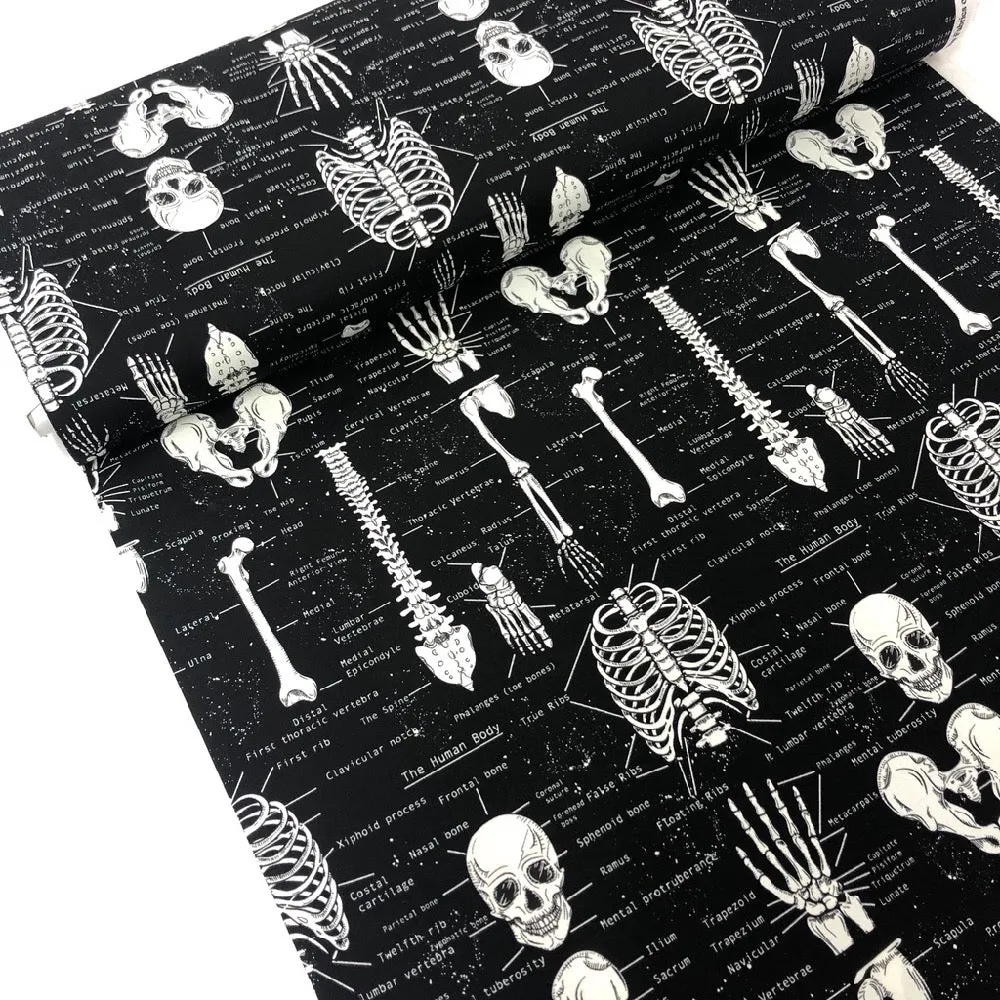 Glow In The Dark Skeletons
