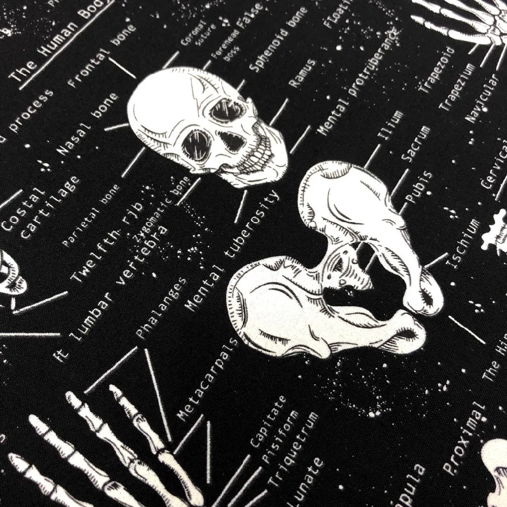 Glow In The Dark Skeletons
