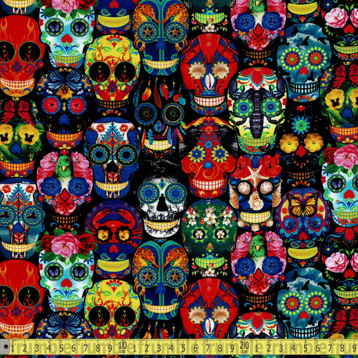 Timeless Treasures Fabric - Skull Folklore - Multi